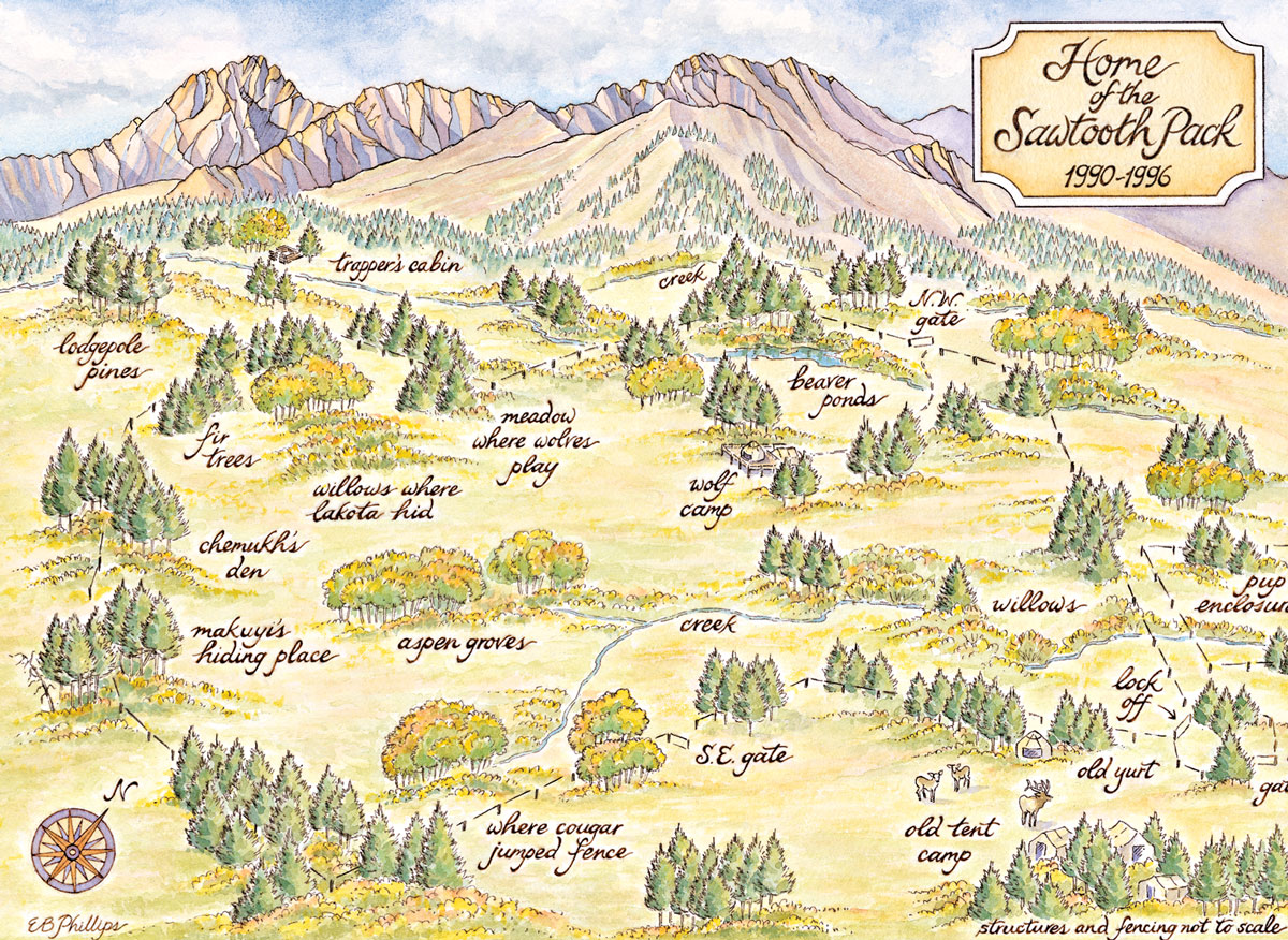 Map of the Sawtooth Pack