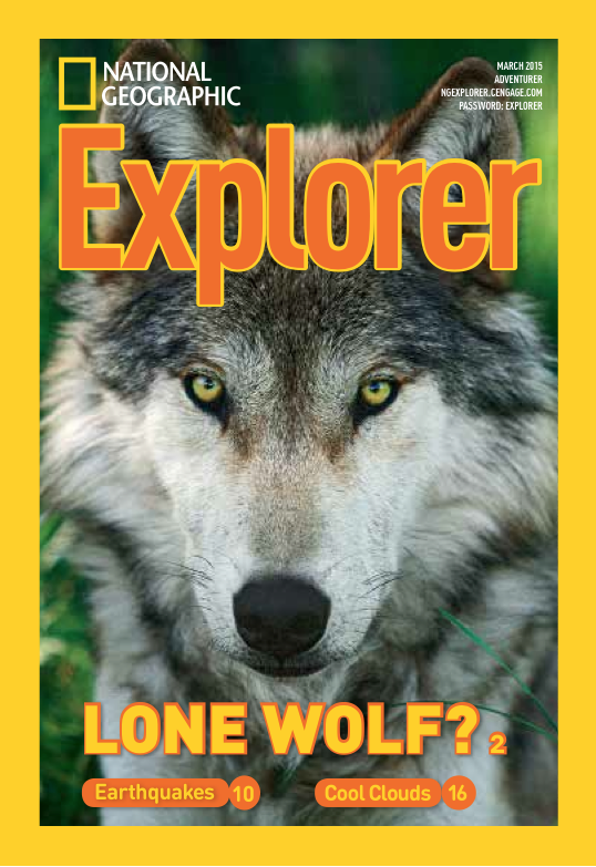 Explorer Magazine | living with wolves