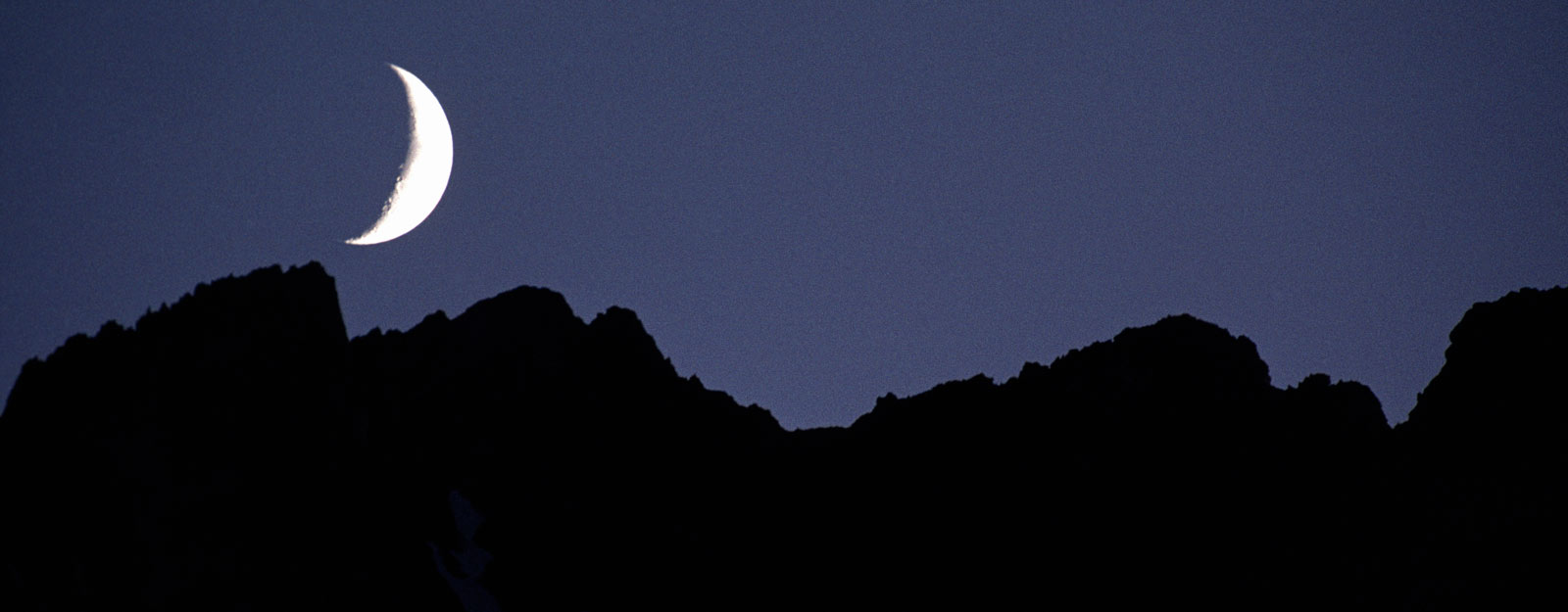 Sawtooth Pack Stories