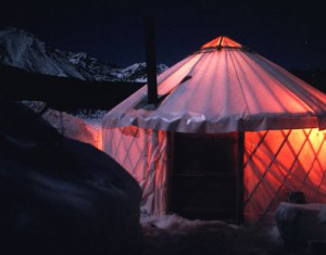 Wolf | sawtooth wolf pack