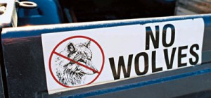 Anti-wolf bumper stickers