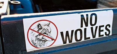 Anti-wolf bumper stickers