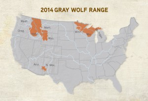 Wolf Range | United States Wolf Range