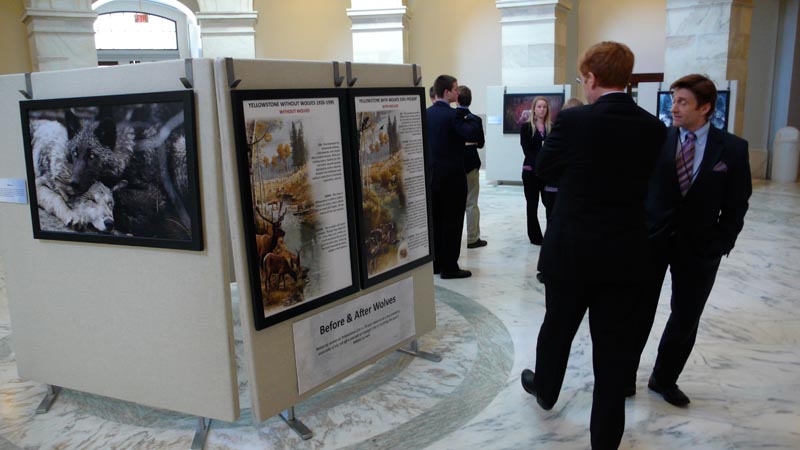 Russell Senate Office Rotunda