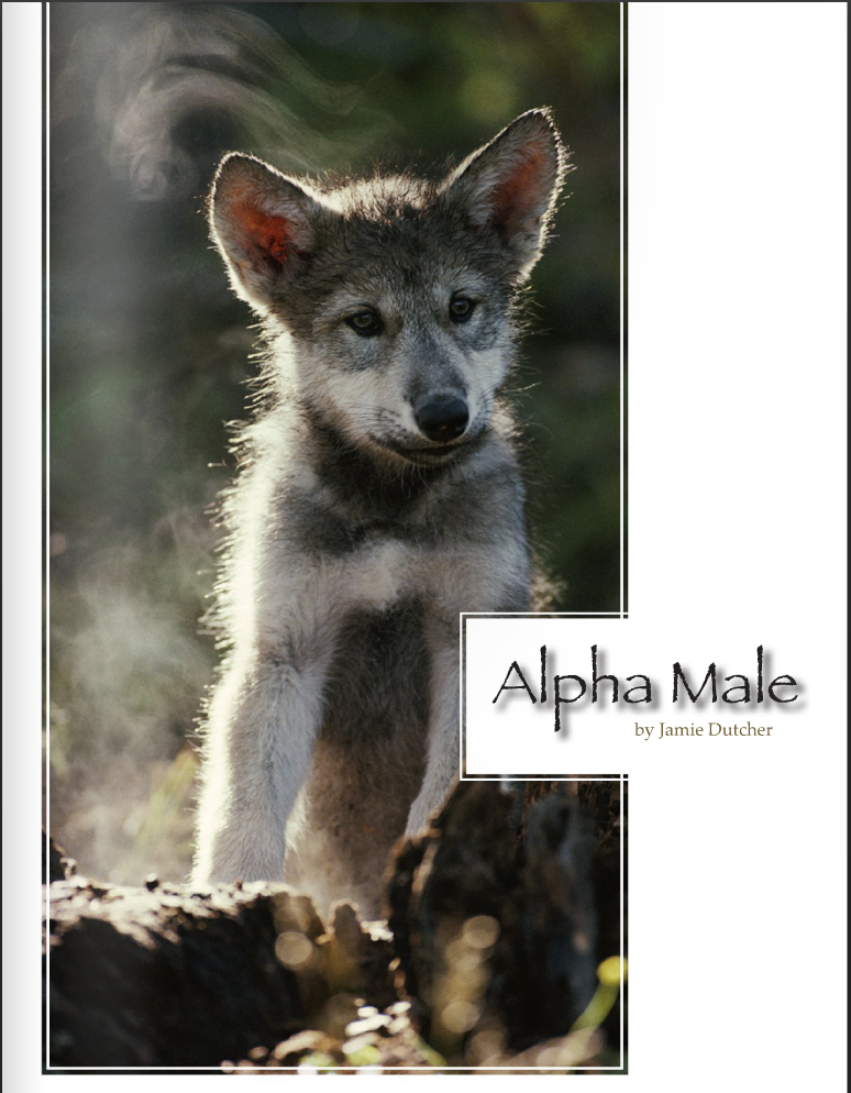 The Alpha Wolf by Jamie Dutcher
