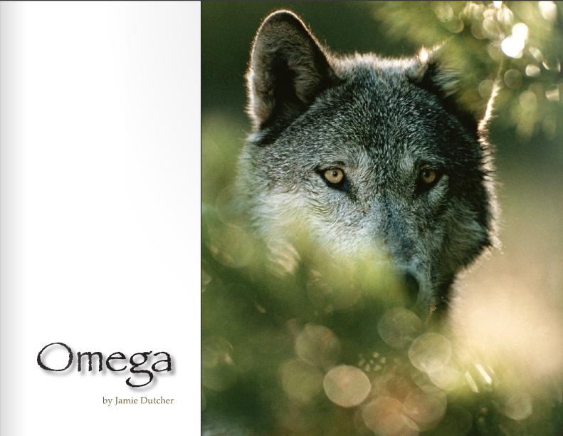 Alpha and Omega 3: The Great Wolf Games - Movies on Google Play