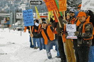 The Political Debate of Wolf Reintroduction