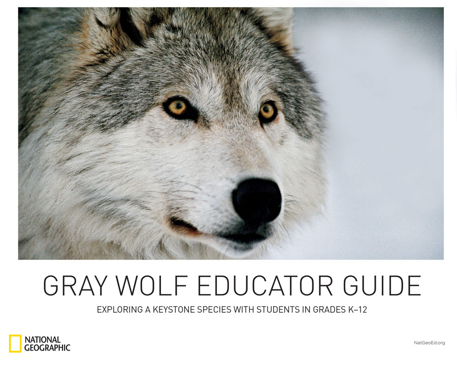 Wolf | National Geographic Wolf Study Guide