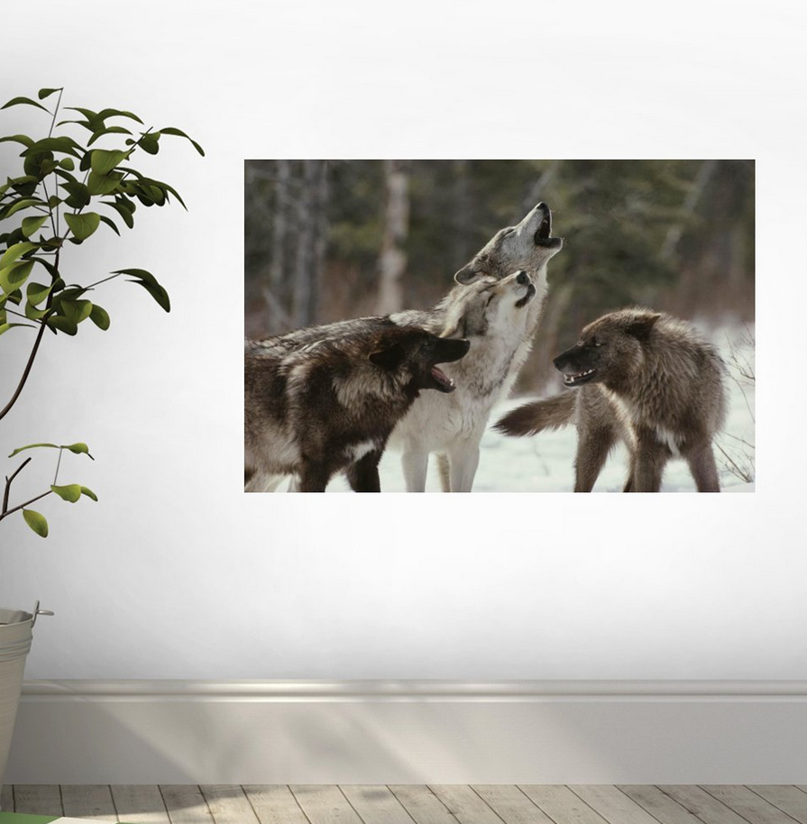 Wolf Wall Decal