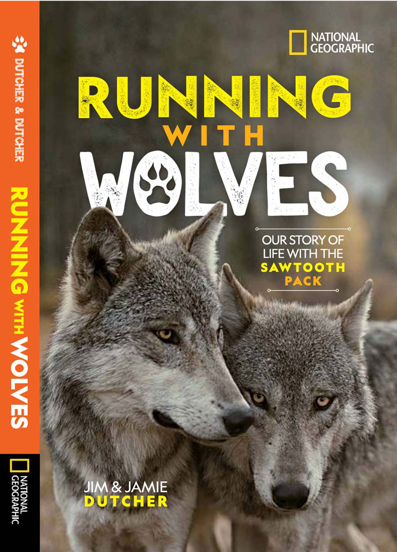 Running With Wolves | Living with Wolves