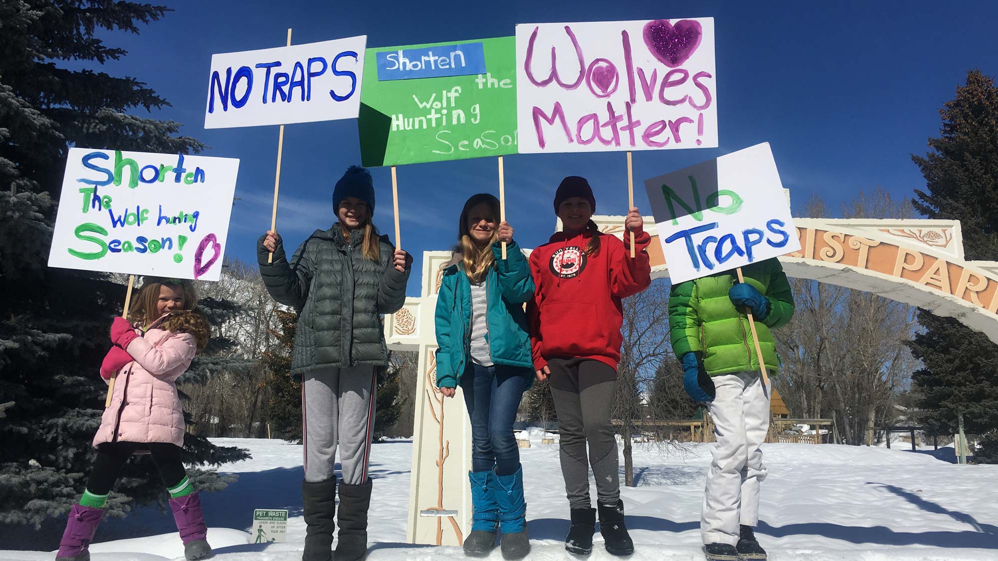 Living with Wolves | Killing Wolves