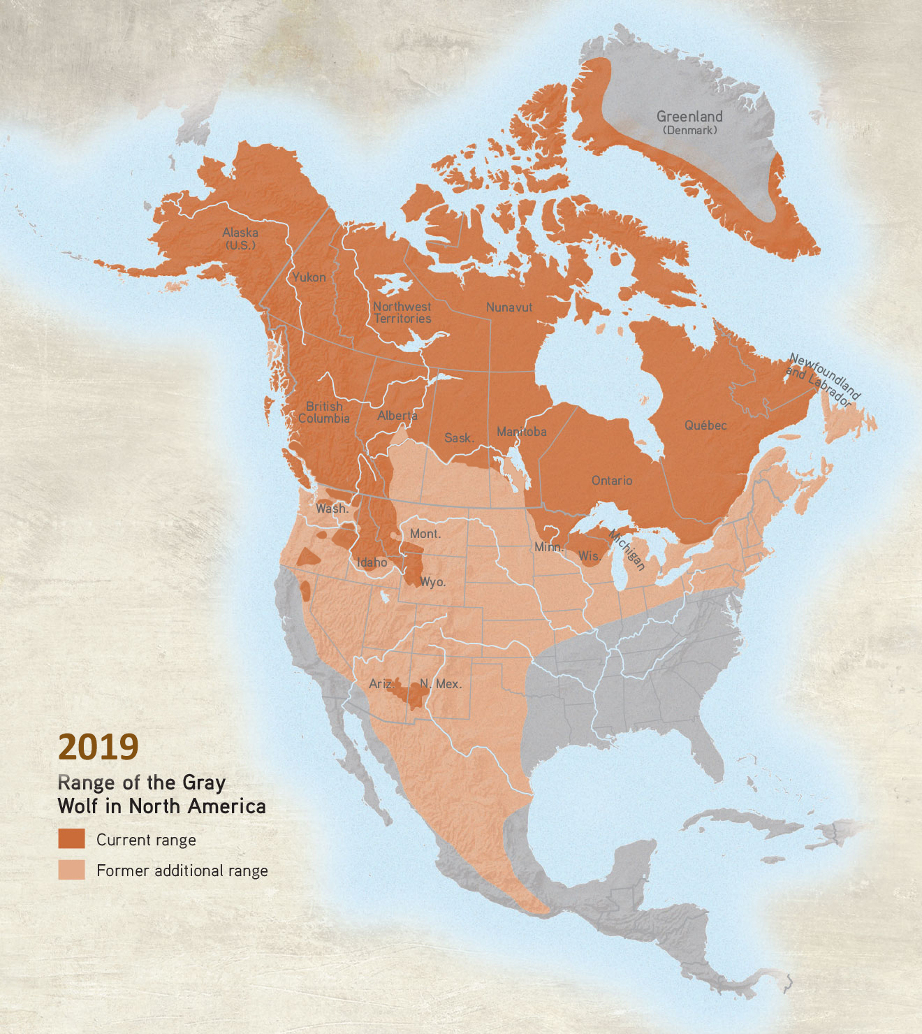 Gray Wolf Timeline