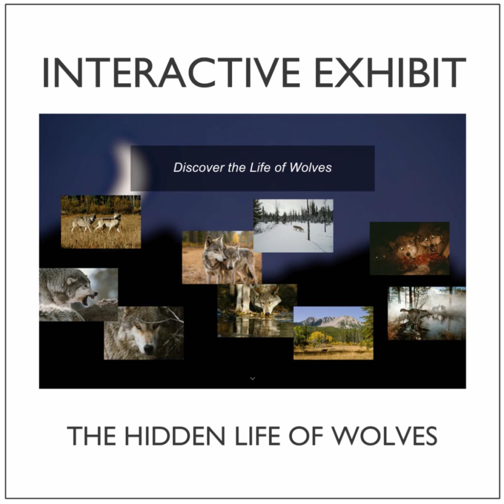 Living with Wolves | interactive exhibit