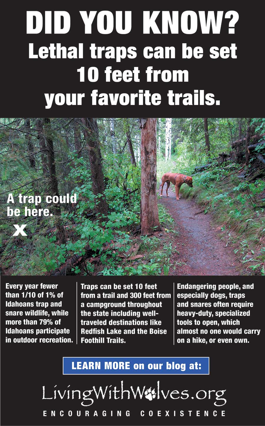 DID YOU KNOW? Lethal traps can be set 10 feet from your favorite trails. -  Living with Wolves