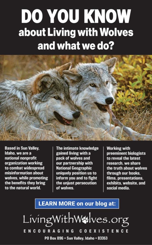 DID YOU KNOW? Wolves are an essential keystone species. - Living with Wolves