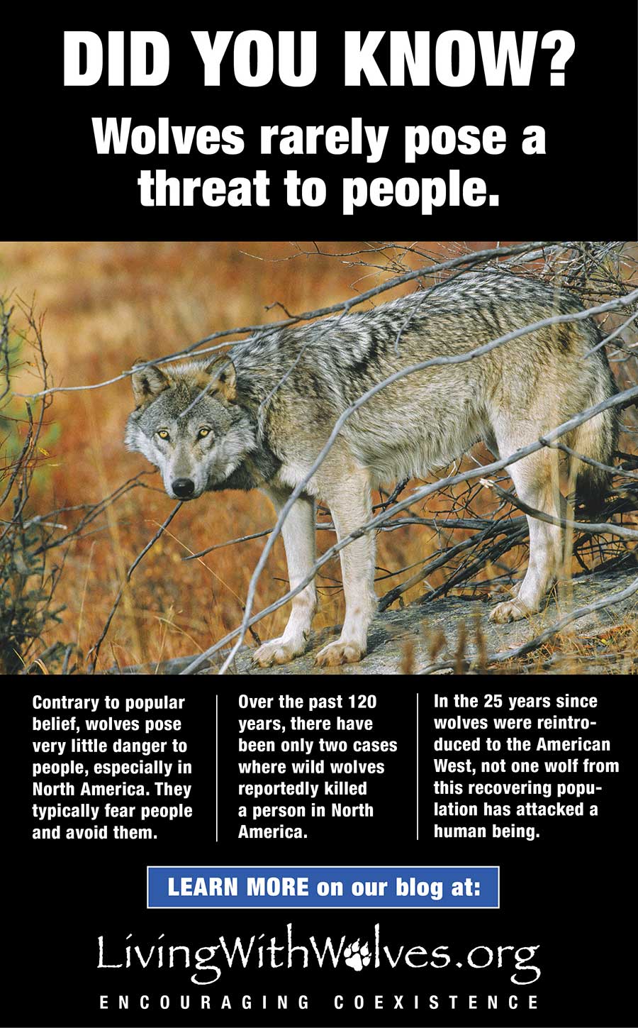 DID YOU KNOW? Wolves rarely pose a threat to people. Living with Wolves