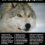 DID YOU KNOW? Your voice helped to stop the wolf trapping proposal!