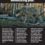 DID YOU KNOW? Yellowstone wolves had a devastating year.