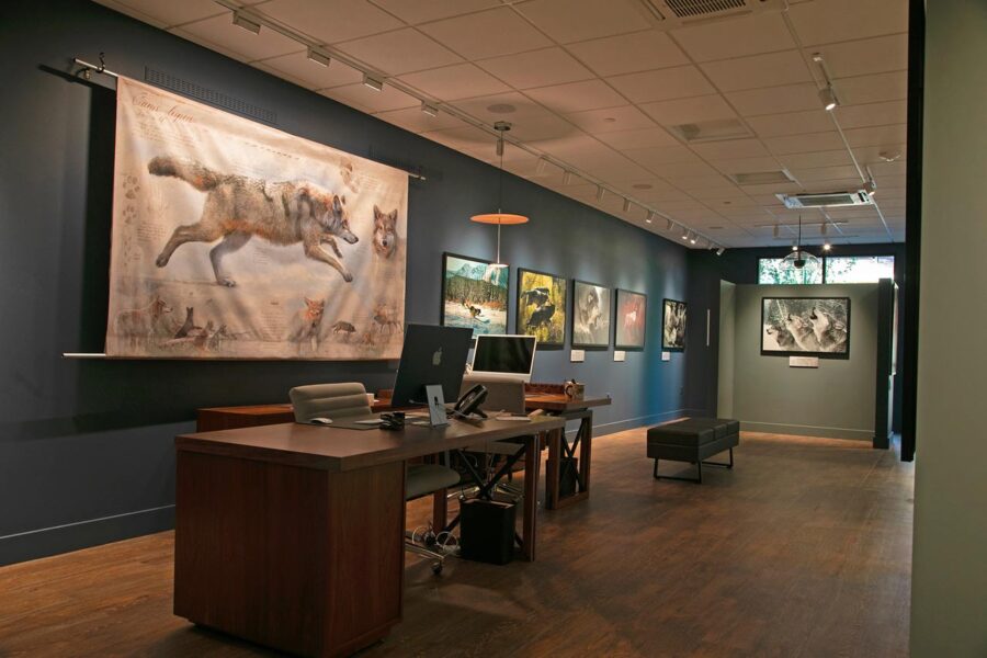 2ms1J3A8593-Banner-1 - Living with Wolves