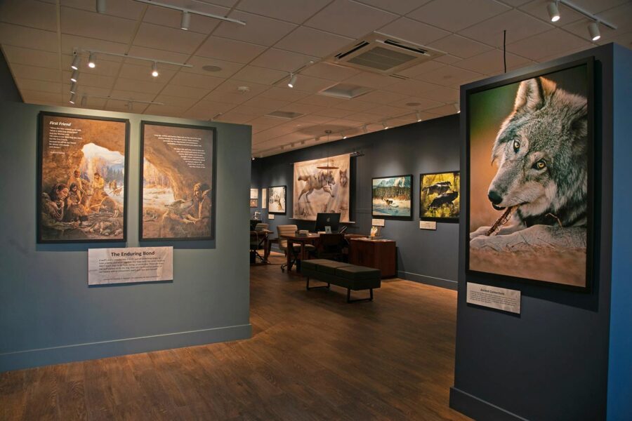 Inside the Living with Wolves Museum in Ketchum, Idaho