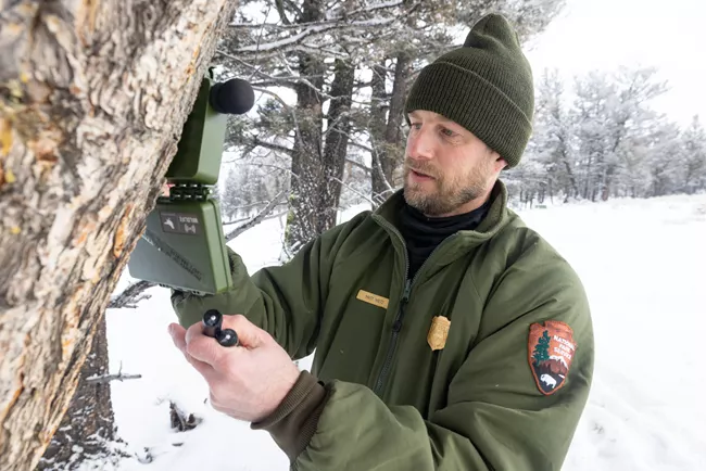A researcher in a green uniform and beanie installs a monitoring device on a tree in a snowy forest—showcasing what we do to protect and observe natural habitats. He holds part of the device while adjusting it on the trunk. | Living with Wolves