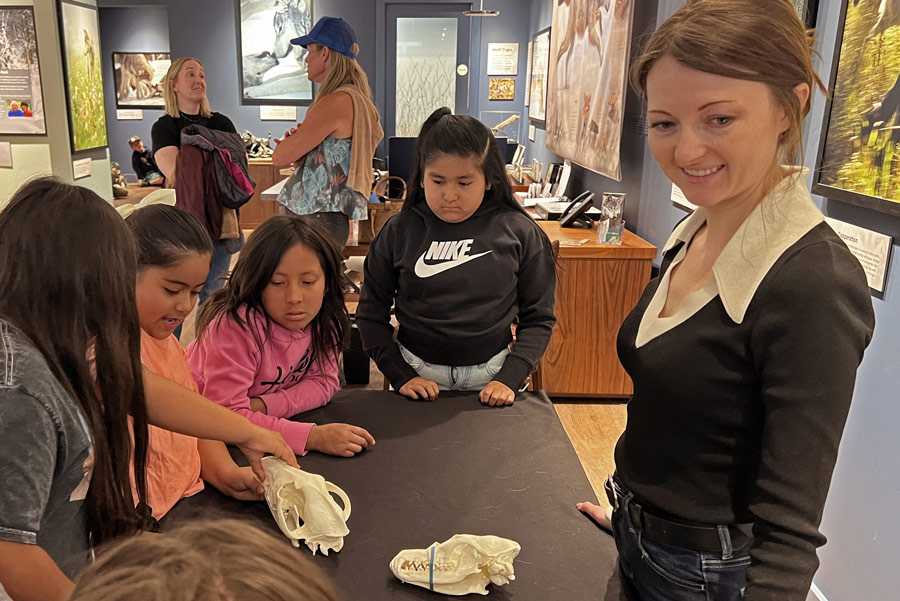 A group of children and a woman stand around a table examining animal skulls in a museum exhibit, showcasing what we do to inspire curiosity, with display cases and other visitors visible in the background. | Living with Wolves