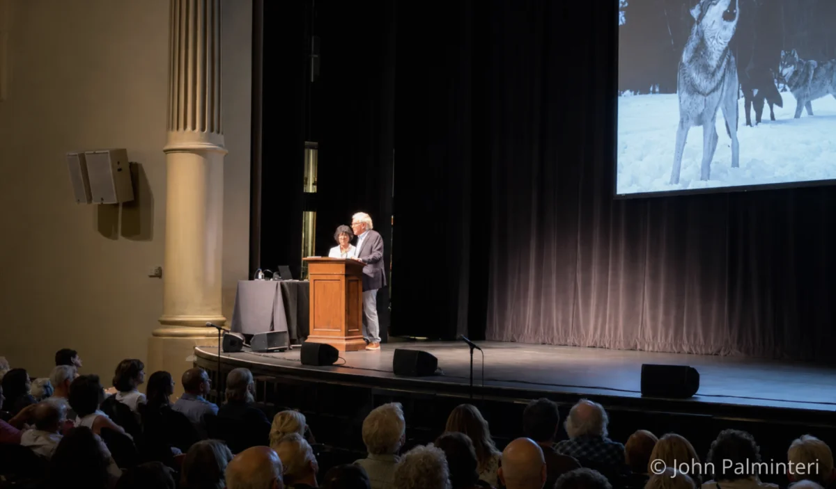 Two people stand at a podium on a stage, addressing an audience. A large black-and-white photo of wolves is projected on a screen behind them. The audience is seated and watching attentively. | Living with Wolves