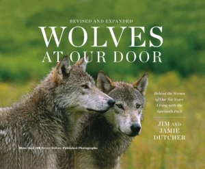 Wolves at Our Door book